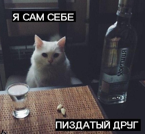 А это мои подарки