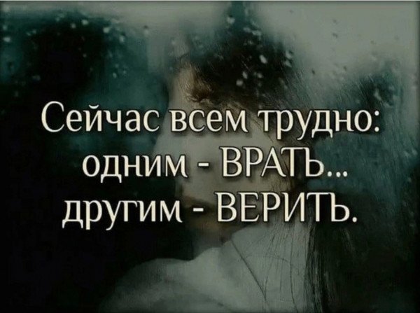 Весёлый полтишок 13.08.24