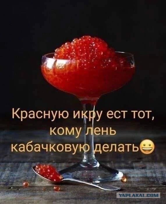 Грибная икра из замороженных лисичек
