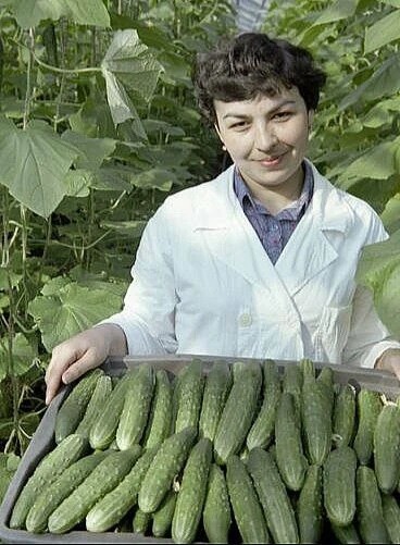 Редкие кадры и архивные снимки 29.04.26