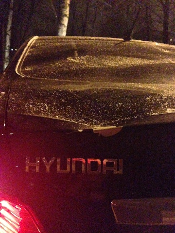 Встретили новый год, называется...