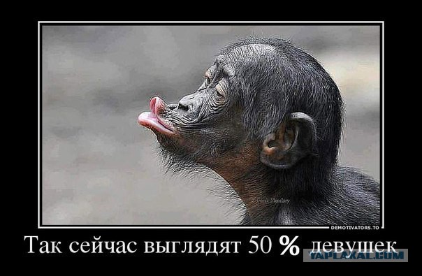 Очередная подборка смешных высказываний