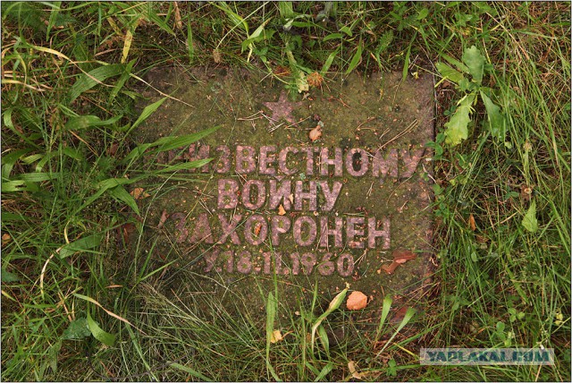 Брошенные и забытые
