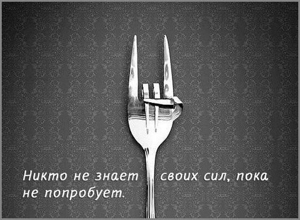 Подборка прикольных фото.