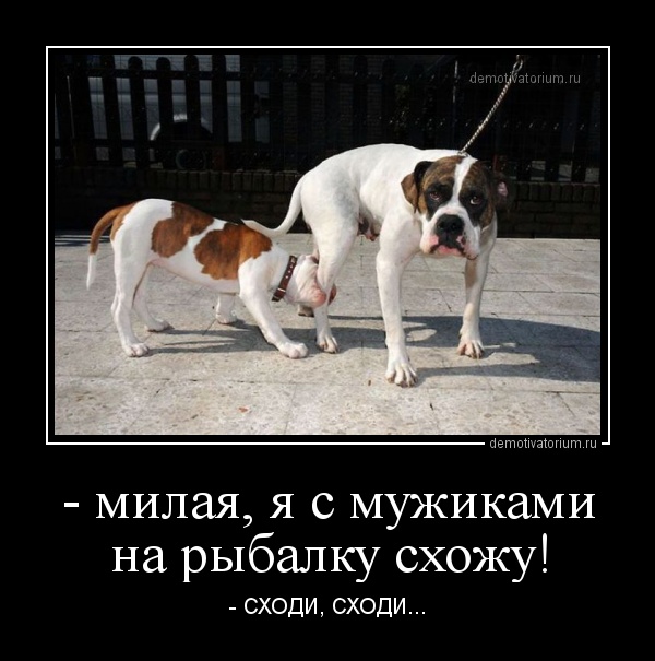 Демотиваторов пост