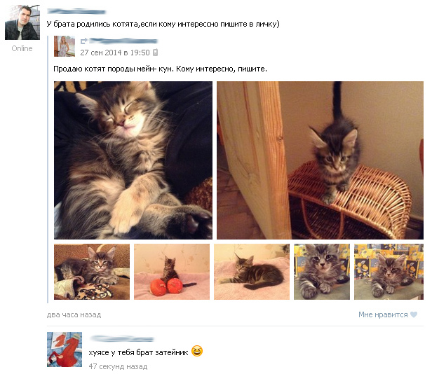Бесконечная тема - смешные комментарии