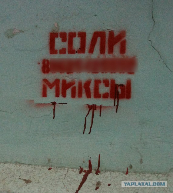 Жизнь города население которого 20% наркоманы