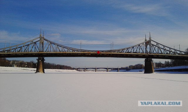 Всё расцветает (15фото)