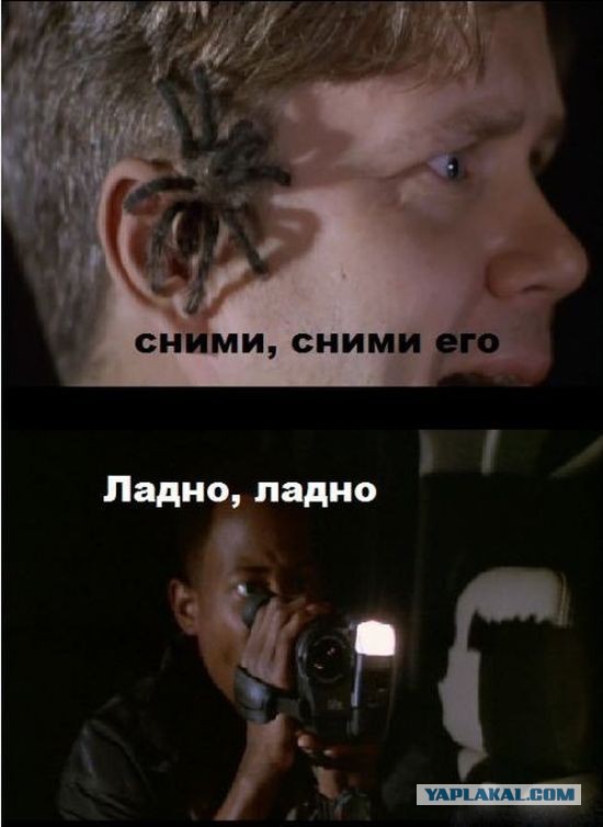 Прикольные картинки на понедельник