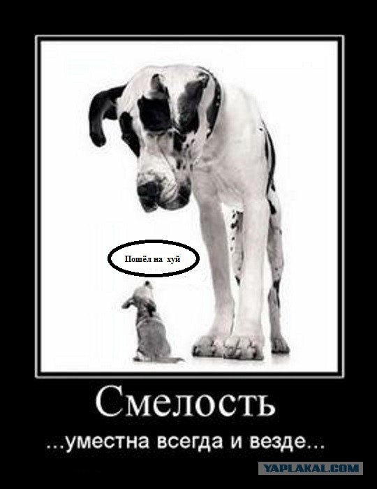 Дайте три рубля девочке с куском говна