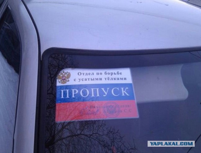 Автоприколы