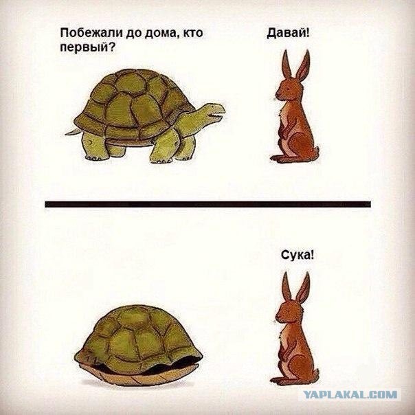 Весёлые картинки