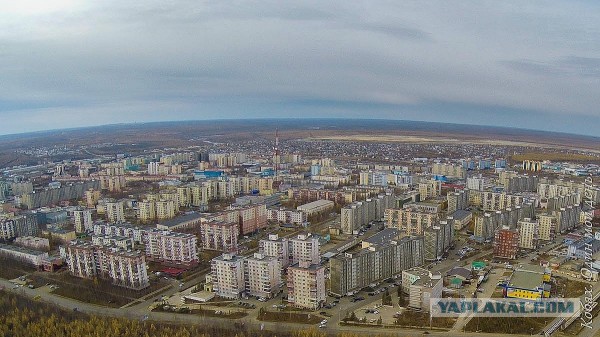 Я Кобах и ниже мой день