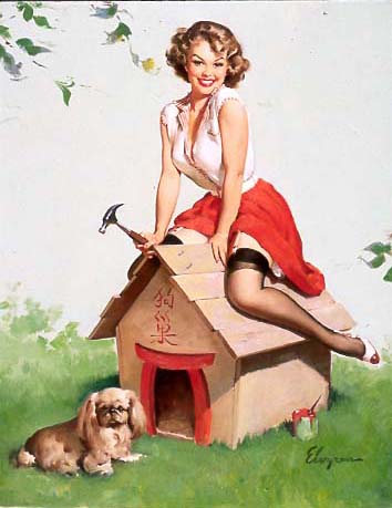 Pin-Up