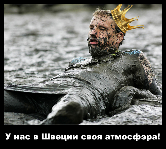 Король Швеции призвал запретить ванны