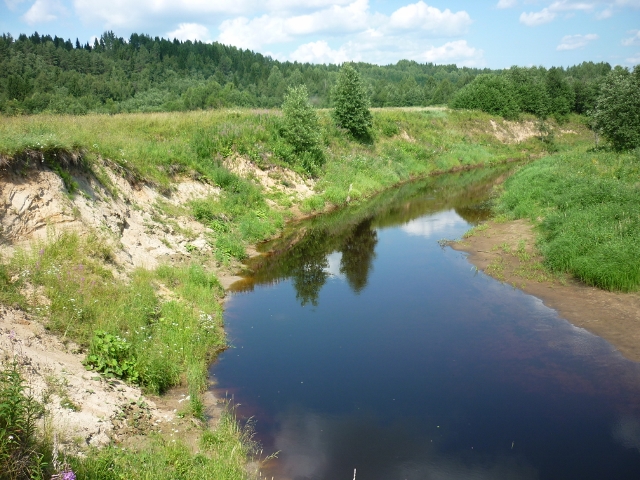 Я узнал, что у меня есть огромная семья