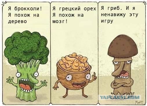 Как выращивают грибы в ангарах бывшей советской ракетной базы