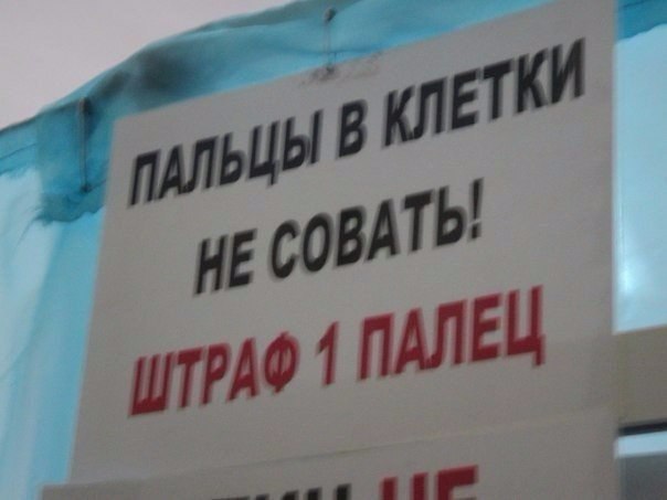Весёлые картинки 13.01.2017