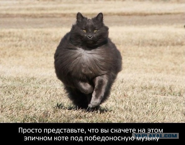 Хоккей. Межсезонье