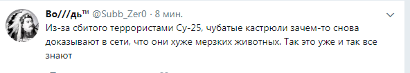 Возможно, боевикам удалось сбить самолет