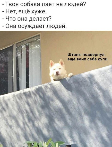 Нестандартный юмор