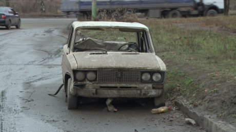 Россиян, владеющих автомобилем или домашним скотом, объявят богачами