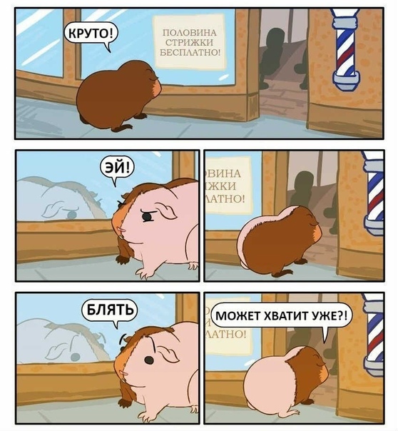 Немного картинок на вечер