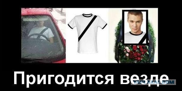 Популярность заглушек для ремней безопасности резко взлетела