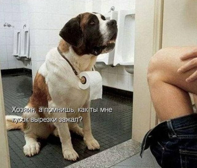Картинки разные нужны, картинки всякие важны