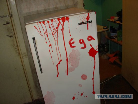 Холодильник в общаге