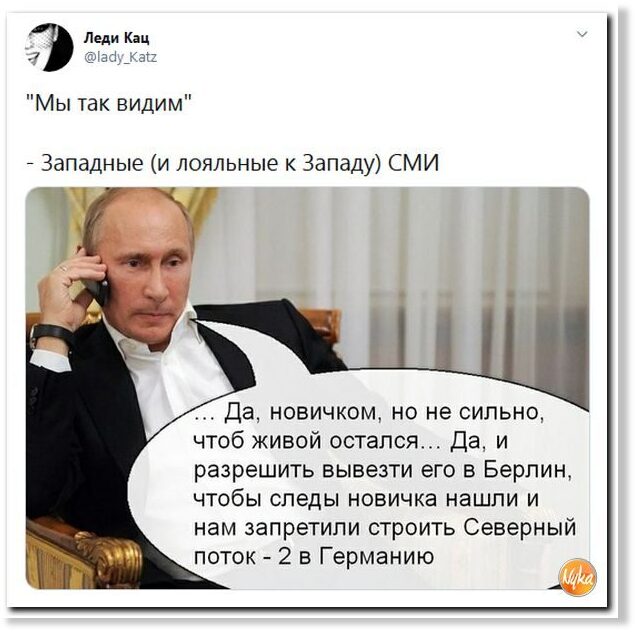Лаборатории Швеции и Франции также выявили у Навального «Новичок»