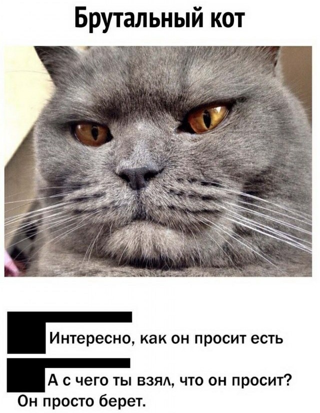 Мадам и месье бонжур