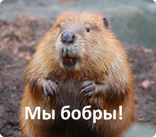 Мы бодры, веселы...