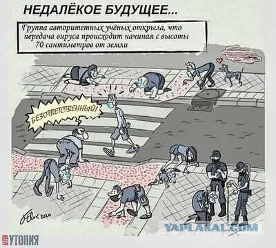 Баранный вируссологический пикчерзз