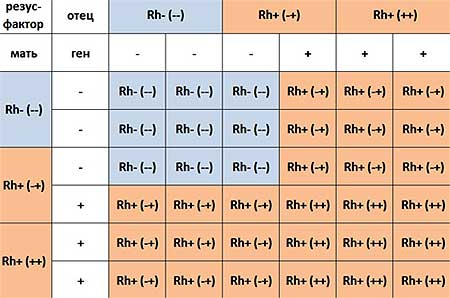 Пикча, убивающая тысячи семей