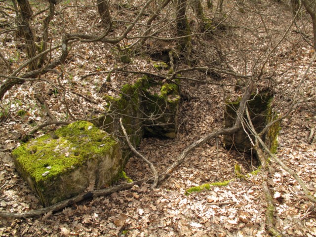 Прогулка по Севастополю."Тёмная балка" 52 фото