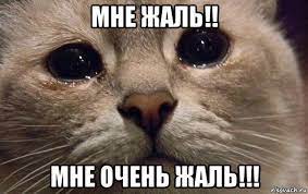 Несите следующего