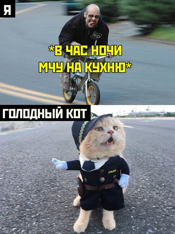 Картинки и мемы для настроения - 125