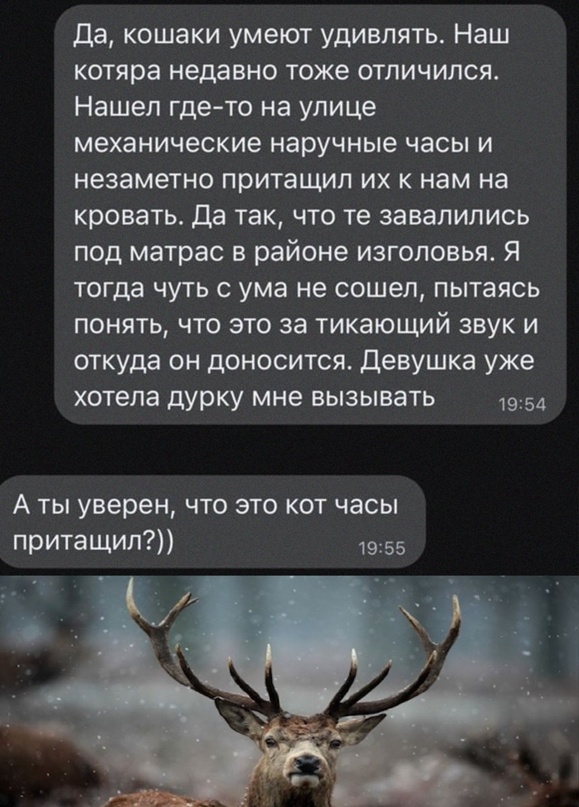 Немного картинок для настроения - 135