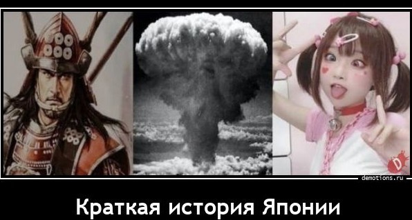 Японец собрал коллекцию навозных жуков и составил их по цветовому градиенту