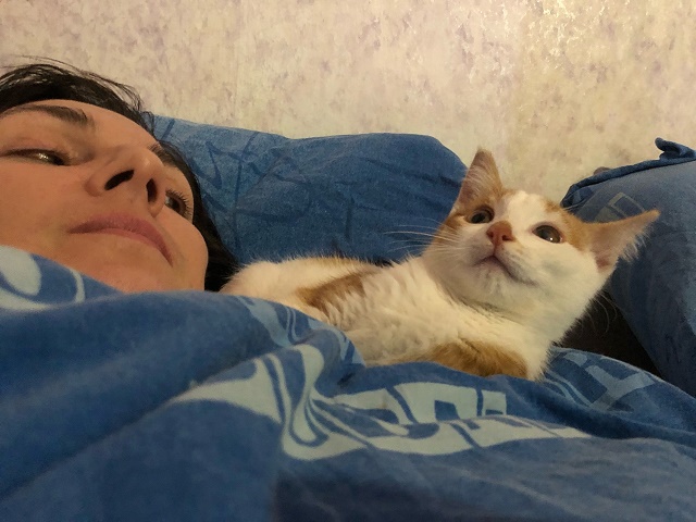 Опоздал к котовторнику, но все же...