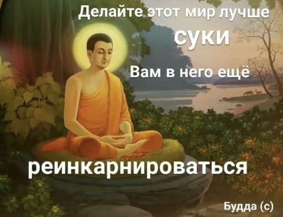Прикольные и просто красивые картинки 12.01.2024