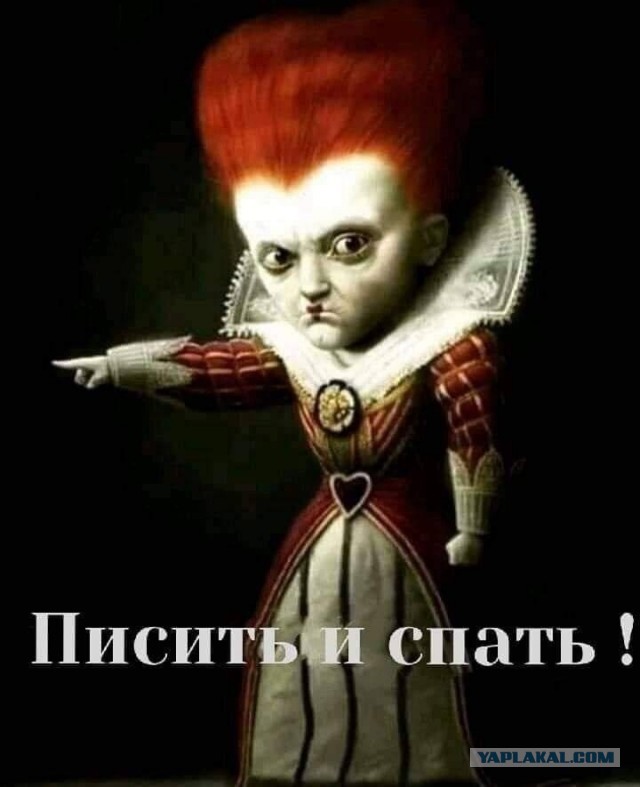 Забота о песике