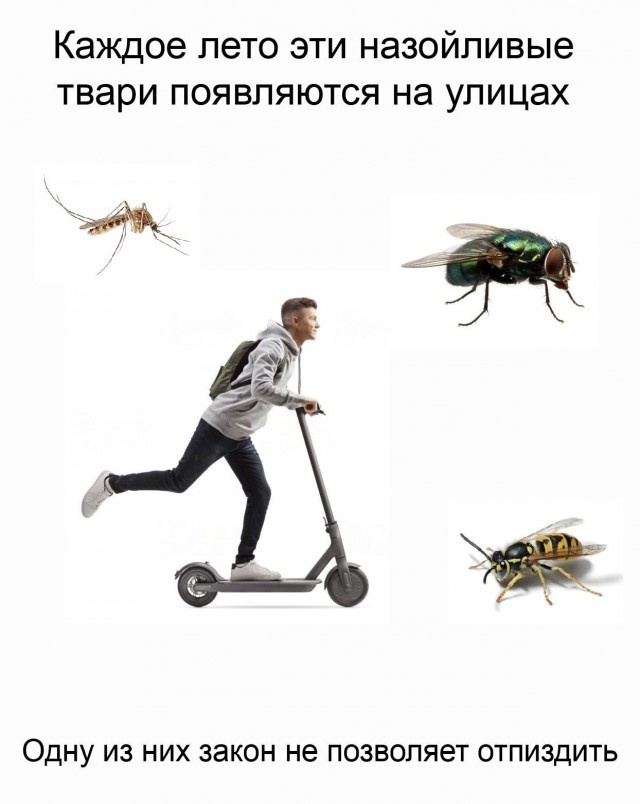 Так себе картинки 28.07.24