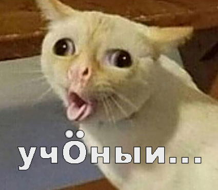 Учёные пришли к выводу, что время с возрастом для человека действительно летит быстрее. И дело не только в субъективных ощущения