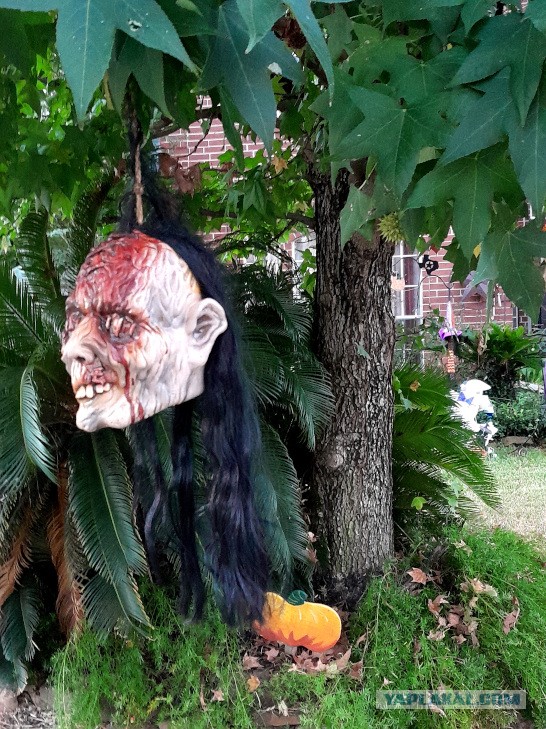 Техас готов к Хэллоуину