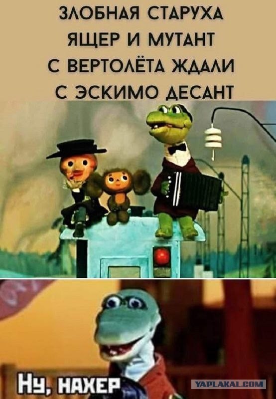 Картинки для деградации 137 (разной степени свежести)