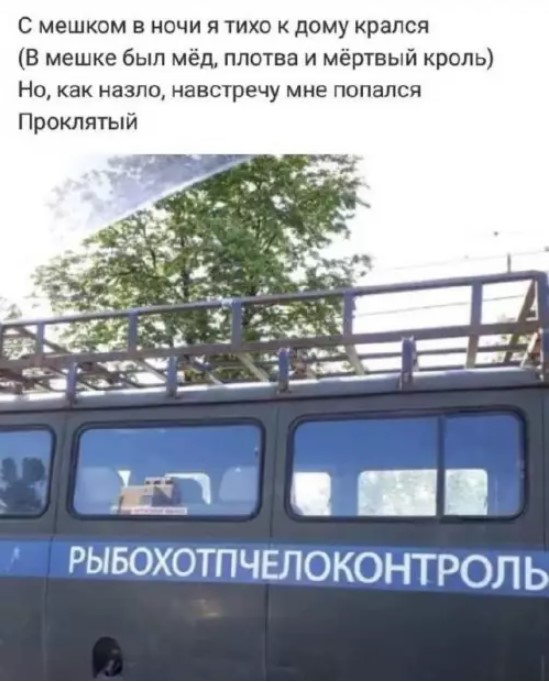 Картиночки, баянчики 19 марта