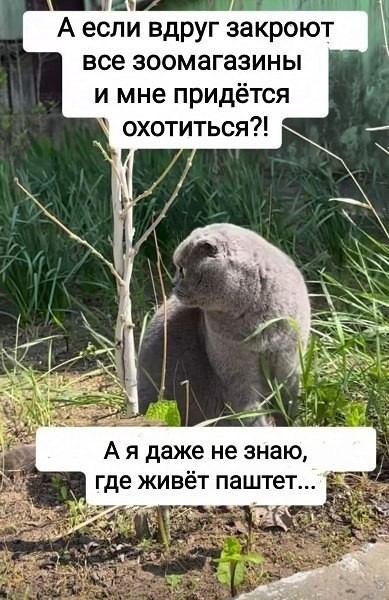 Забавные картинки, шутки из этих ваших интернетов