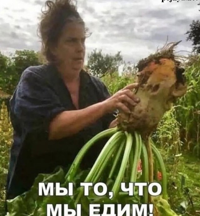 Про еду